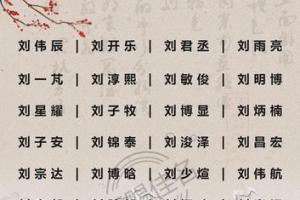 2024鼠宝宝起名:取自诗词帅气阳光的刘姓男孩名字精选_手机搜狐网