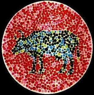 5张色盲检测图,看不出图中的动物就是色盲,考驾照想都不用想!