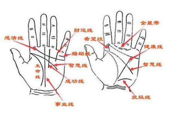 好命女人手相面相图片