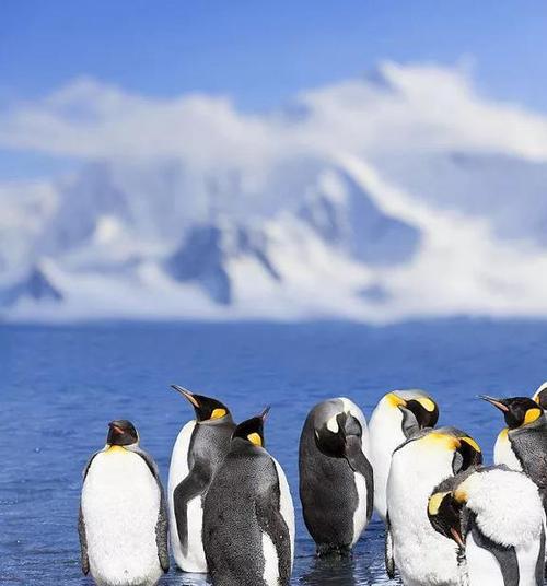 南极独特宁静保存了有关地球的过去和未来的线索