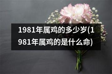 1981年属鸡的多少岁(1981年属鸡的是什么命)