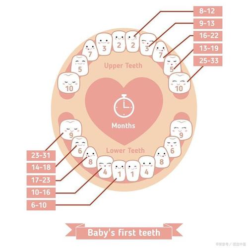 关于宝宝长牙,妈妈们要知道这些事
