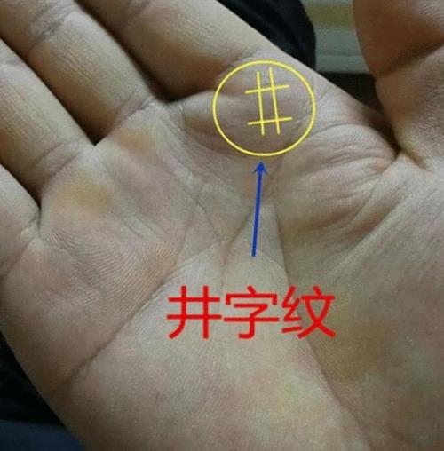 俗语井字手中纹横财滚进门指的是什么你的手里有吗