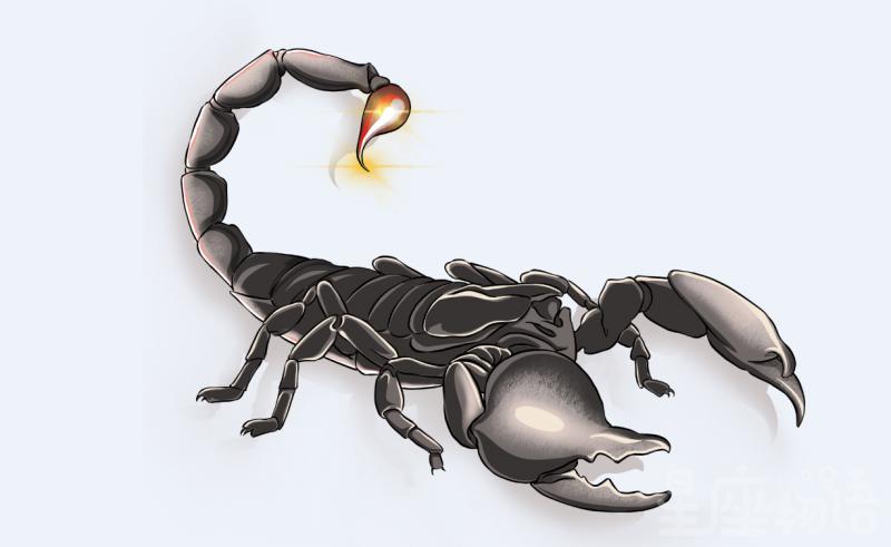 梦见蝎子是什么意思梦见蝎子爬身上代表什么梦见蝎子是好事吗