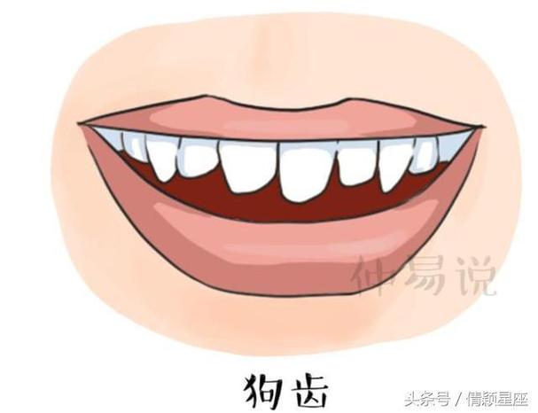 通过观察牙齿的形状,可以推断出一个人的运势和喜好.