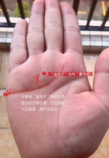 第一,如上图,这位命主的手相之拇指比较短,没有过无名指的第一节,表示