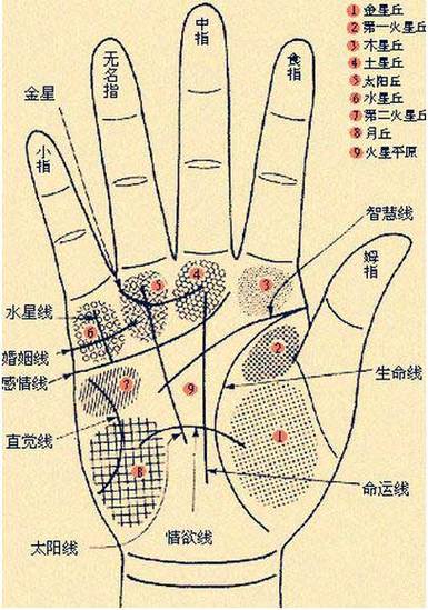 男人右手掌纹图解算命图片