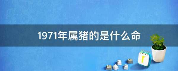 1971年属猪的是什么命五行属什么