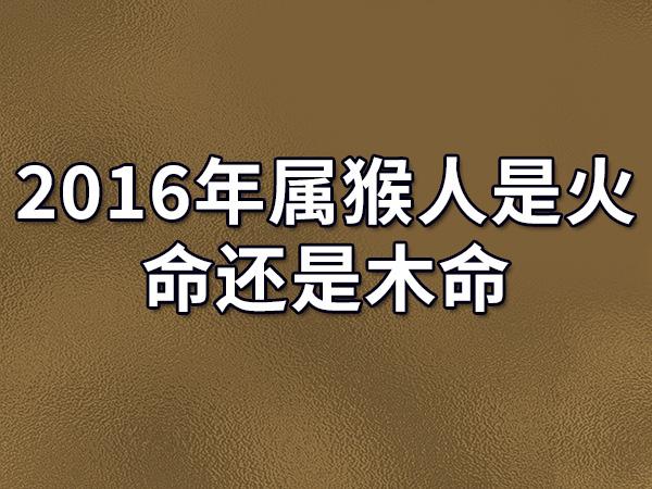 2023年属猴人是火命还是木命