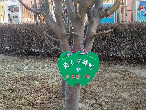滨州高新区实验学校:植树节认领幸福树,红领巾浇灌幸福花