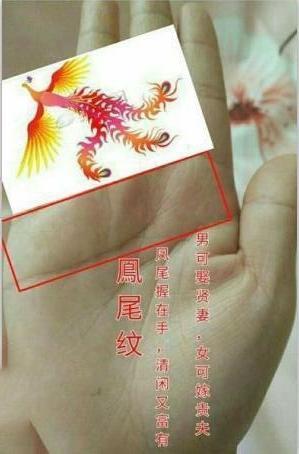 手相凤尾纹图片图片