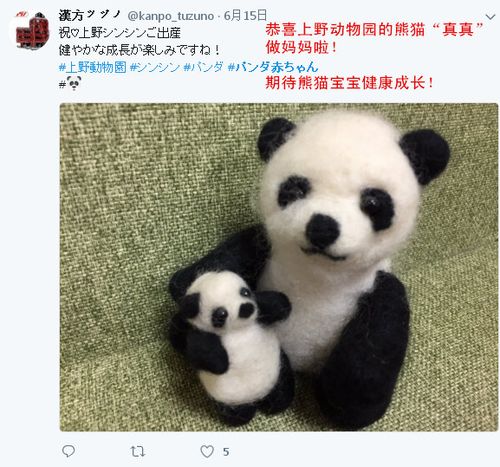 这是真爱!日本人给一只熊猫宝宝起了32万个名字!