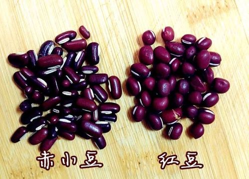 红豆和赤小豆到底有什么区别呢?