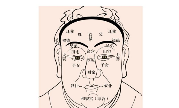 眉头中间有竖纹面相代表什么