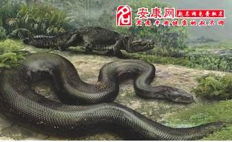 梦见蟒蛇是什么预兆梦见长蟒蛇