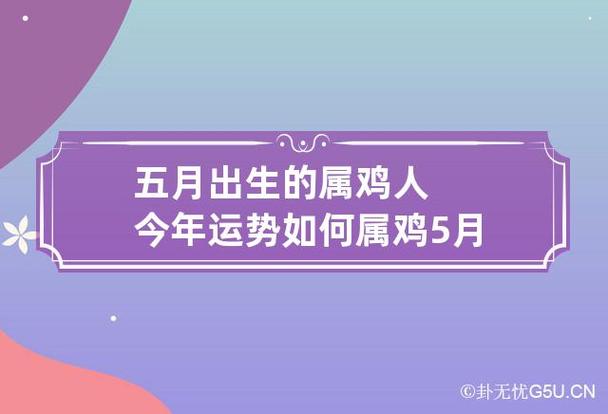 五月出生的属鸡人今年运势如何 属鸡5月生的命运怎样