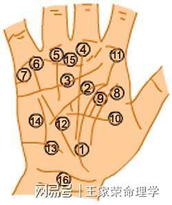 女性若只有一掌川字纹,有两种不同看法:川字纹生在右手.