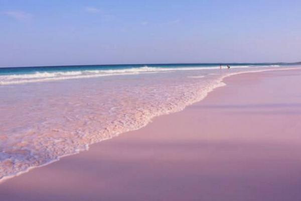 梦见沙滩和大海是什么意思梦到粉色的沙滩有什么预兆