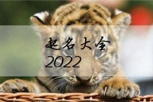 名字大全参考2024给属虎的宝宝起名除了要满足生肖起名的一些要求之外