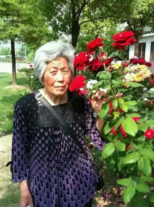 朋友的亲奶奶赵传宣,83岁,于14日晚20点左右走失,走时路线从淮安市区