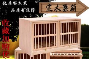 【现货速发】鸽子巢箱配对笼鸽子笼子家用赛飞巢箱信鸽种鸽配对笼木制