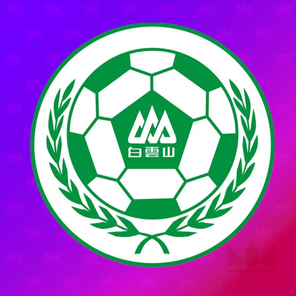 值得一提的是,1998年,白云山又出资成立了一家广州白云山足球俱乐部