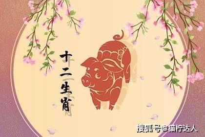 2023壬寅年,太岁寅木为生肖猪的食神星,代表了自由自在,轻松和愉快