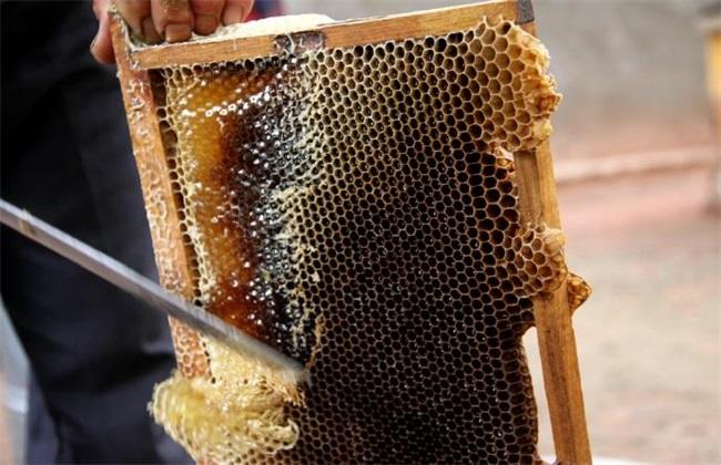 中蜂什么时候取蜜最佳
