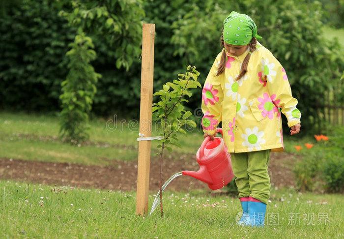 给苹果树浇水的小女孩