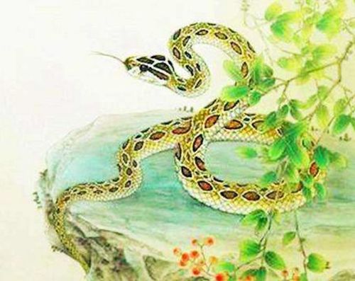 (建议属蛇人戴一个趋吉避凶,招财进宝的生肖蛇专属手链.