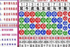 马报十二生肖49数字图图片