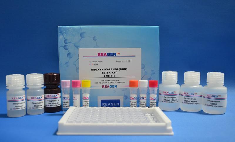 生物素检测试剂盒