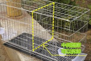 加粗鸽子笼鸽子用品用具鸽子配对笼养殖笼子金属折叠大号 粗80。40。47
