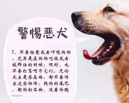 1,九成九是不会的狗又不是得狂犬病死的我以前被狗咬了,都出血了也没