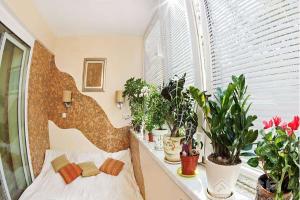 卧室适宜摆放的植物有哪些卧室植物摆放风水禁忌
