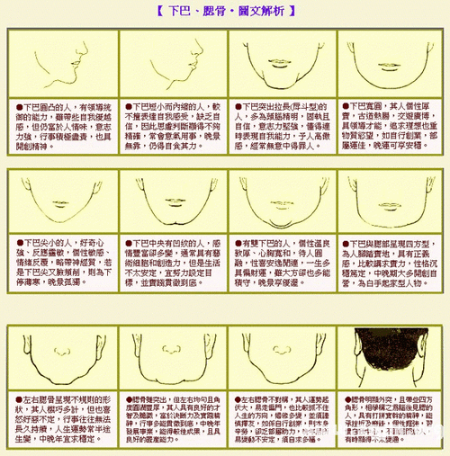 w型下巴面相分析图片