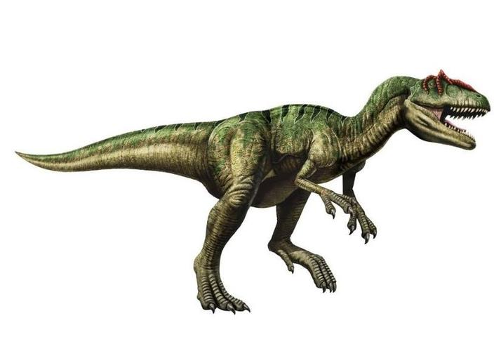 异特龙(allosaurus)