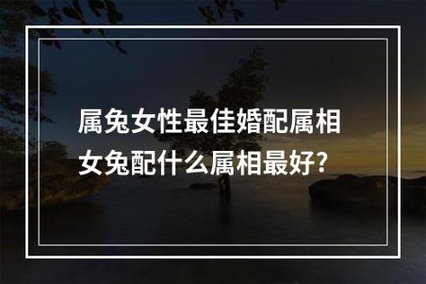 属兔女性最佳婚配属相 女兔配什么属相最好?