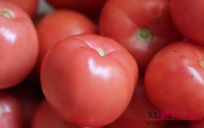 孕妇梦见吃西红柿是什么意思
