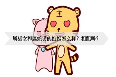 男猪女蛇夫妻成功案例图片