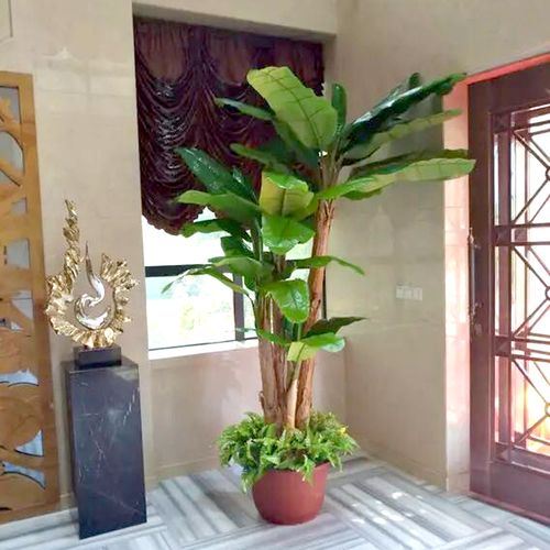 仿真香蕉树真树杆假芭蕉树落地绿植盆栽室内客厅热带植物装饰树