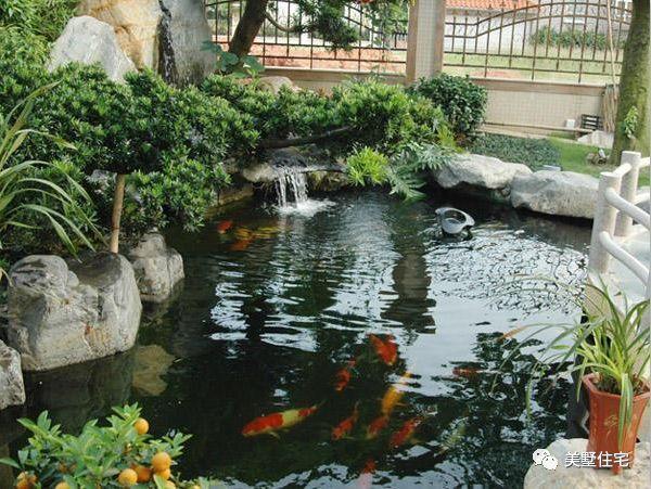 在院子里造个景观鱼池,这么美,让人羡慕不已
