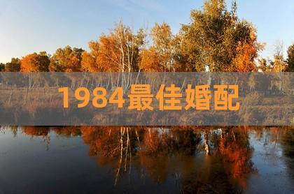 1984最佳婚配1984年属鼠的最佳配偶属相