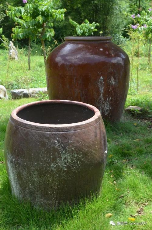 从前的院子都有一口水缸