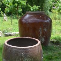 从前的院子都有一口水缸