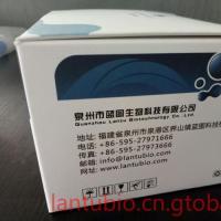 马孕酮(prog)定量检测试剂盒(elisa),福建 泉州市地区生化试剂供应