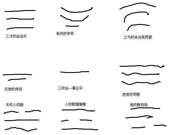 抬头纹面相分析