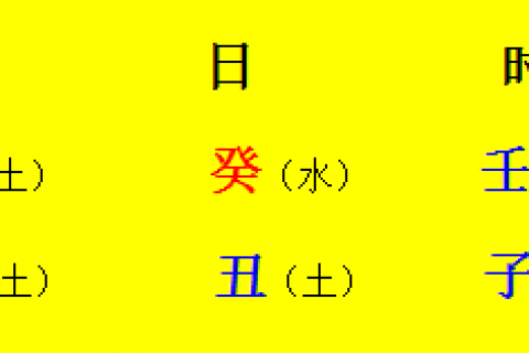 癸丑日富贵人八字,癸亥年辛酉月戊午日丑时