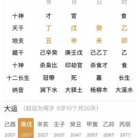 丁丑年,戊申月,癸未日,乙卯时(申酉空)南玄子回复:本人八字:坤造:丁丑