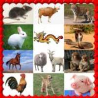十二生肖动物的叫声合集声音免费在线播放-喜马拉雅